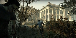 Swamp Fever - Plantation